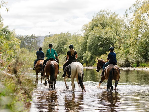 horseback cradle mountain