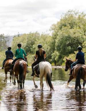 7 memorable things to do in Cradle Mountain (that aren’t hiking)