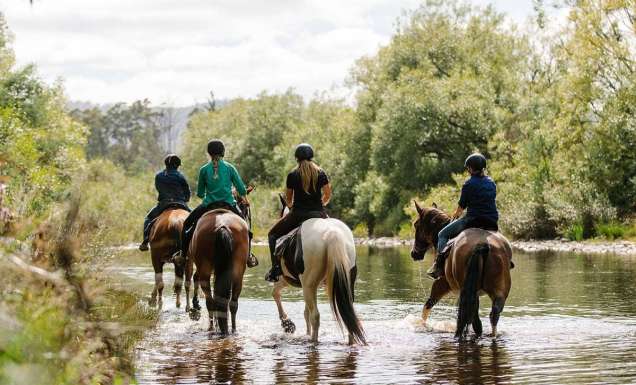 7 memorable things to do in Cradle Mountain (that aren’t hiking)