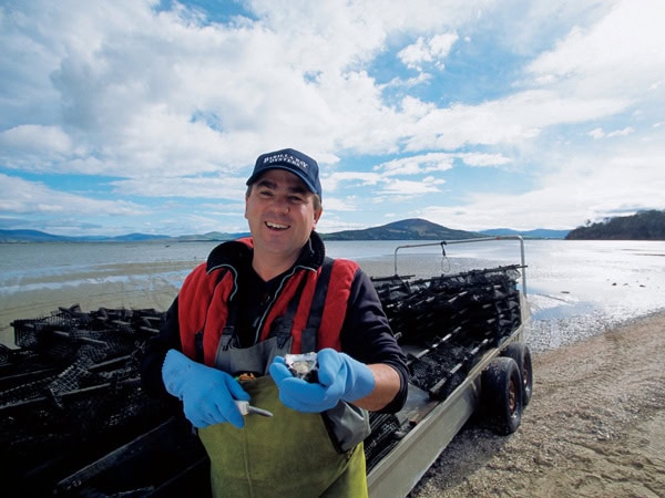 an oyster farmer Barilla Bay Oyster Farm