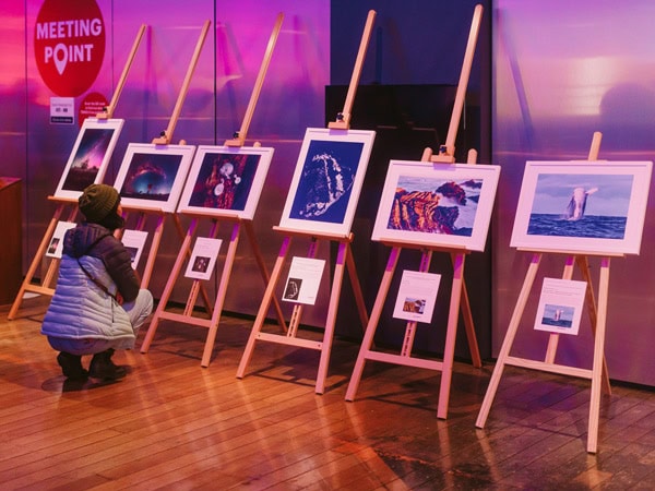 art installations and exhibitions at the Beaker Street Festival