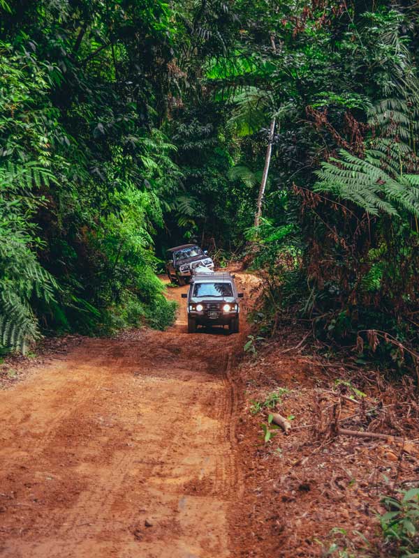 4WDs on the CREB track. (Image: Tourism Tropical North Queensland)