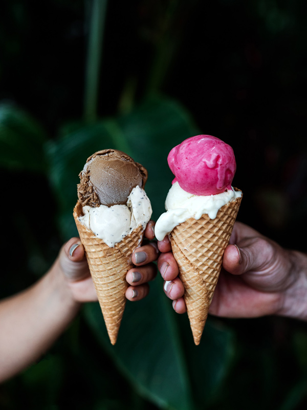 two cones of Daintree Ice Cream