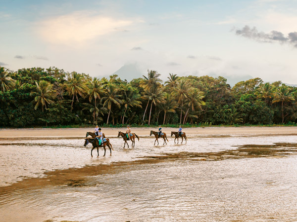 riding horses along Myall Beach, Cape Tribulation