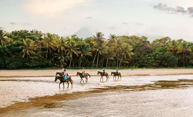 riding horses along Myall Beach, Cape Tribulation