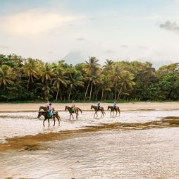 riding horses along Myall Beach, Cape Tribulation