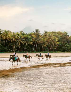 riding horses along Myall Beach, Cape Tribulation