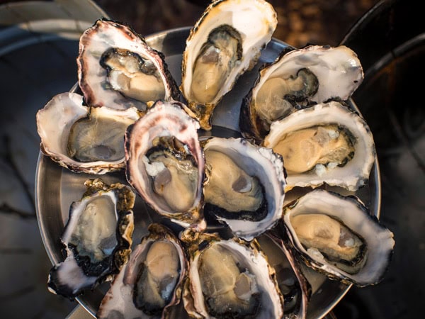 fresh oysters at Get Shucked Oysters