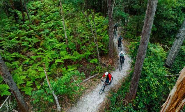 24 memorable things to do in Merimbula