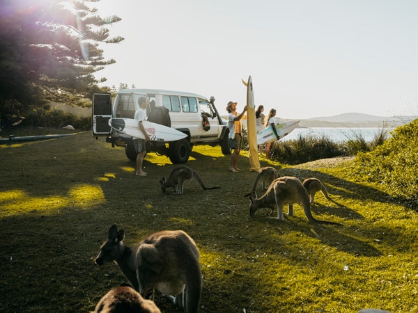 friends preparing for a surf surrounded by kangaroos at Murramarang Beachfront Holiday Resort in South Durras