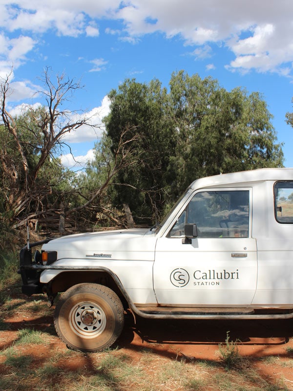 A truck with the Callubri Station logo in Callubri Station, NSW, Australia
