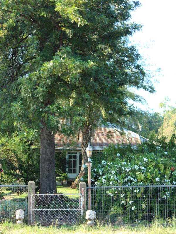 Callubri Station's original homestead in NSW, Australia