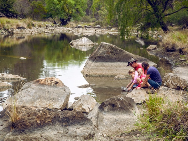 A family fossicking