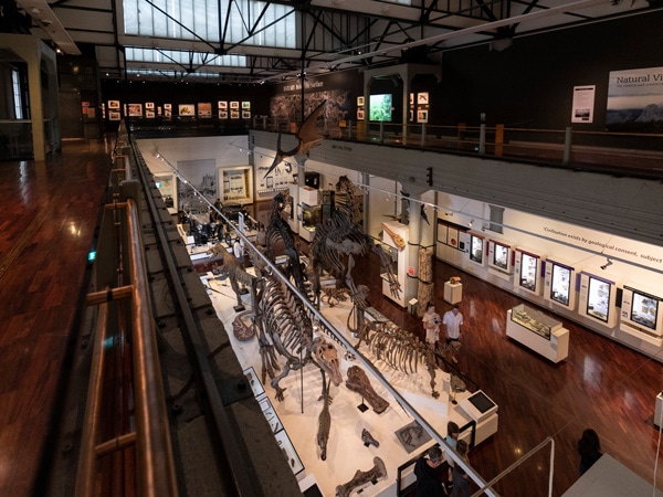 Queen Victoria Museum and Art Gallery in Launceston, Tasmania, Australia