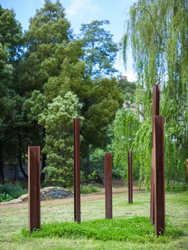 The South Hobart Rivulet Walk in Tasmania, Australia