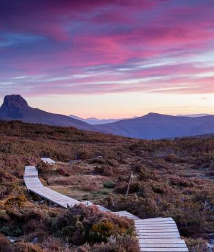 <p><i>Everything you need to know</i> before you walk the <strong>Overland Track</strong></p>
