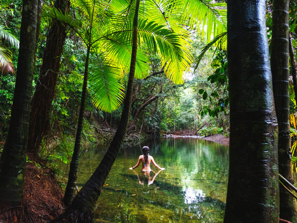 a woman taking a dip at Mason's swimming hole, Daintree