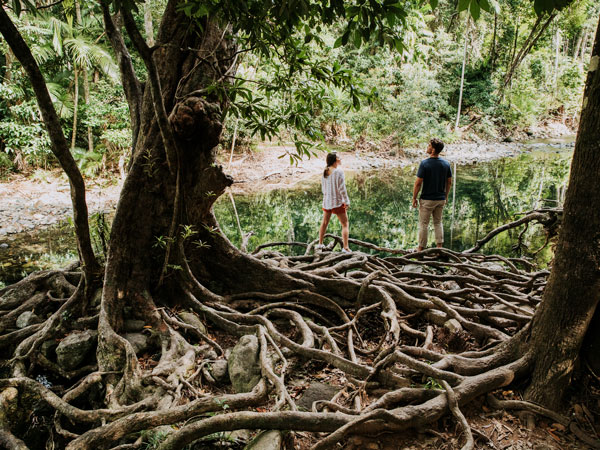 two people exploring the Emmagen Creek, Daintree