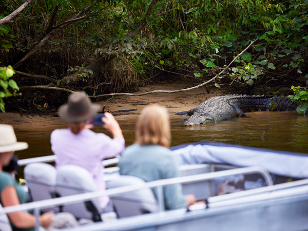 crocodile spotting with Daintree Boatman Wildlife Cruises