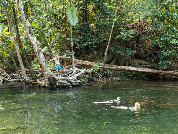 swimming in Emmagen Creek, Daintree