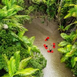 the River Drift Experience at Daintree river