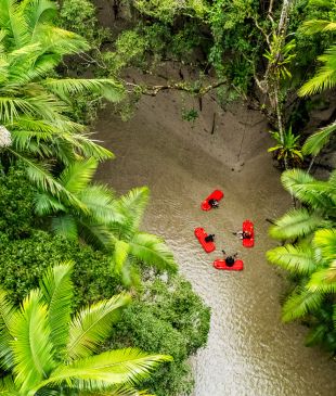 <p>10 of the <i>most extraordinary things</i> to do in the <strong>Daintree Rainforest</strong></p>
