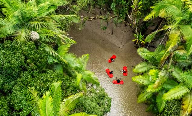 the River Drift Experience at Daintree river