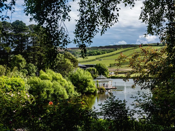 The vineyards at Josef Chromy