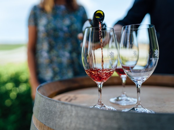 Josef Chromy Wine Tasting