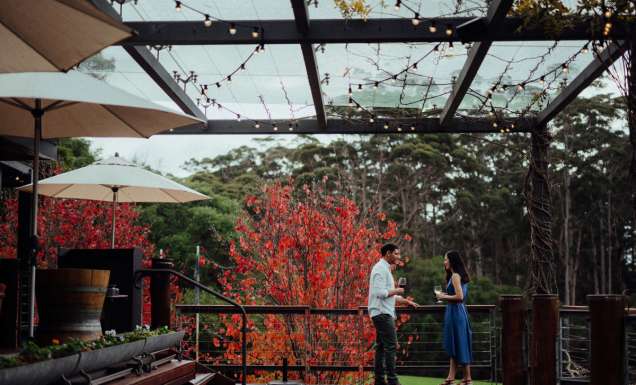 a couple enjoying wine on the outdoor deck of Leeuwin Estate, Margaret River