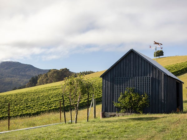 The Ridge North Lilydale