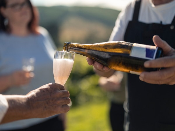 The Ridge North Lilydale Tasting