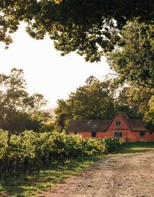 Sip, dine, sleep: the essential Tamar Valley wineries guide