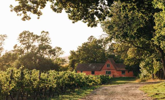 Sip, dine, sleep: the essential Tamar Valley wineries guide