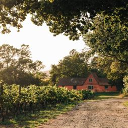 Sip, dine, sleep: the essential Tamar Valley wineries guide