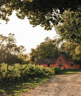 <p><i>Sip, dine, sleep</i>: the essential <strong>Tamar Valley</strong> wineries guide</p>
