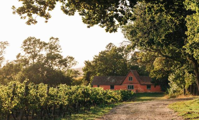 Sip, dine, sleep: the essential Tamar Valley wineries guide
