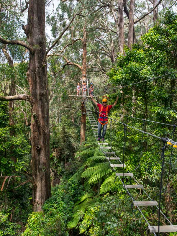 Man enjoying the scenery and action at Illawarra Fly Treetop Adventures, Knights Hill in the Illawarra region of NSW.