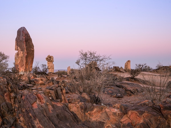 sculptures dotted around the Living Desert State Park