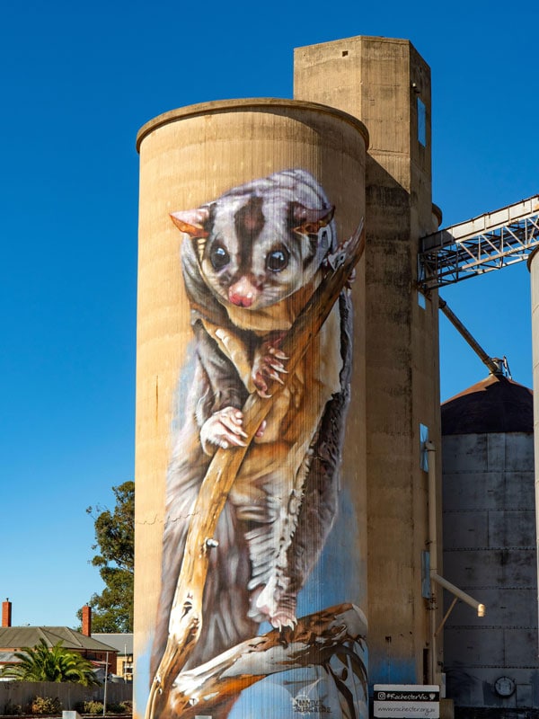 Echuca Moama Silo Art Trail