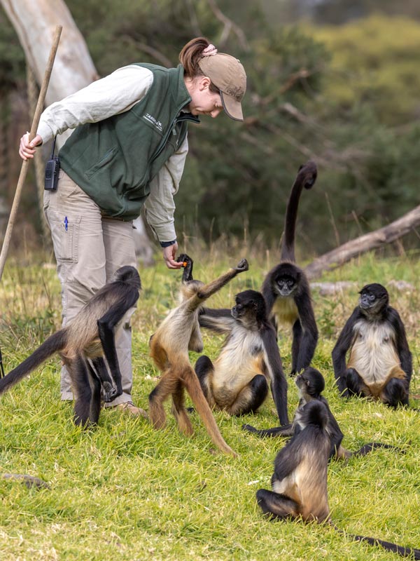 Zookeeper Bridget Kaitler in Dubbo Zoo