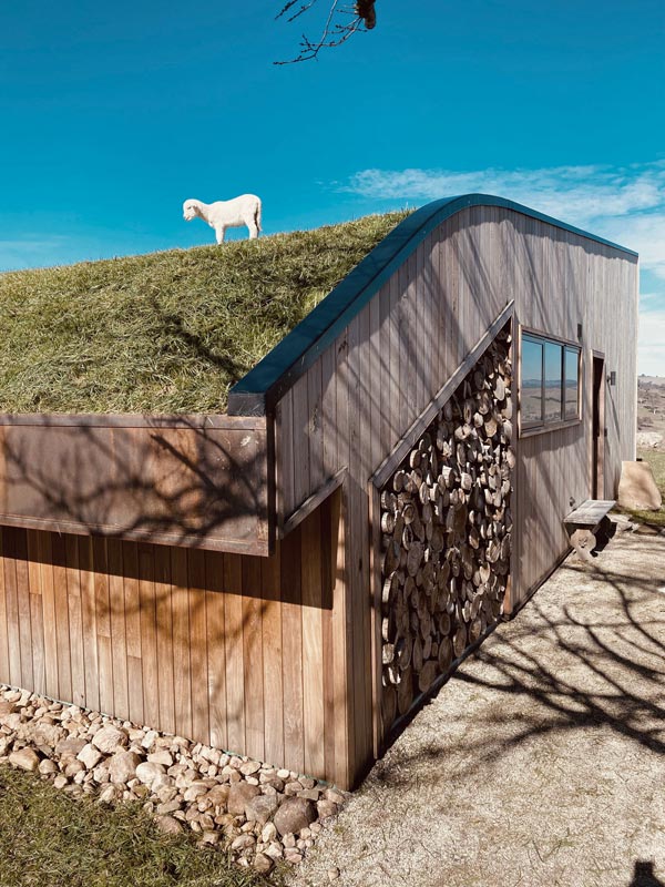 Bambi the lamb at Wilga Station