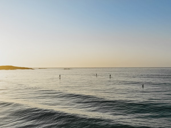 People on stand up paddleboarding in the ocean.