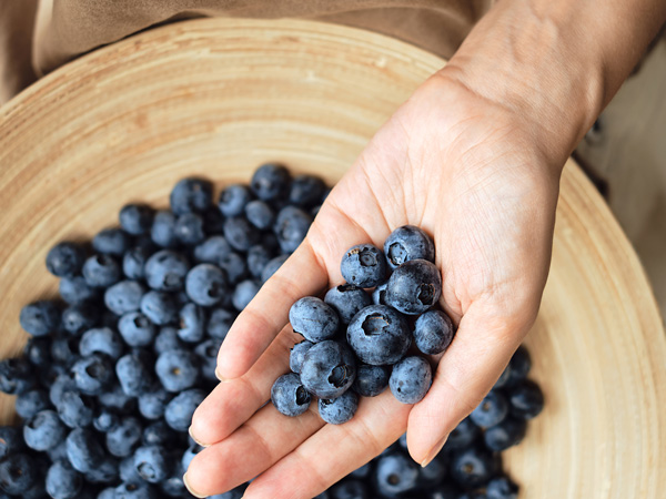 a hand holding blueberries, Yarra Valley