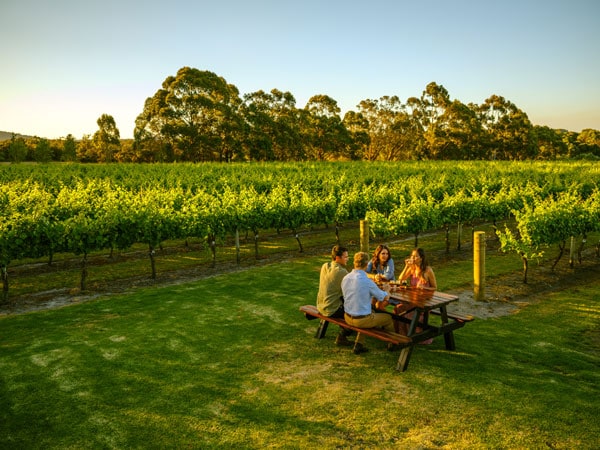 Boston Brewing Co people drinking in a vineyard