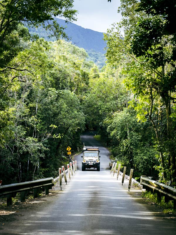 Daintree Rainforest road