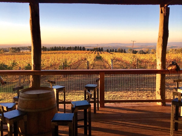 sunny deck at De Salis Wines