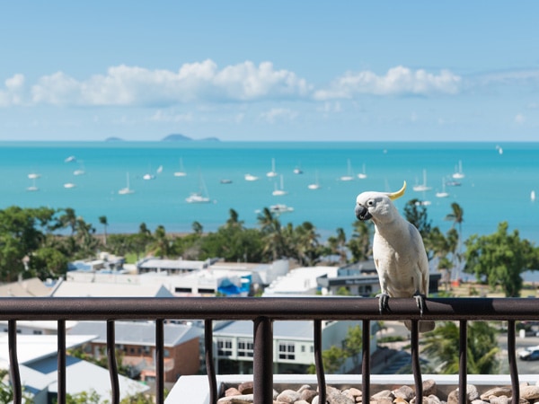 oceanfront accommodation in Airlie Beach