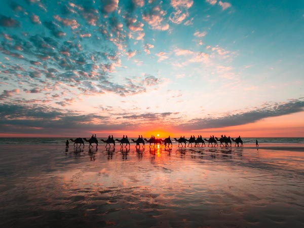 Camels on Camel beach