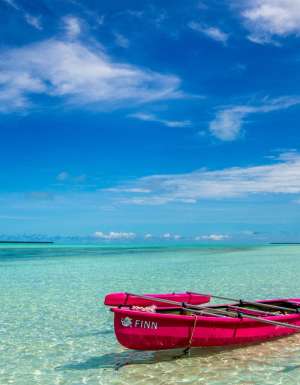 Cocosday Motorised Canoe Safari